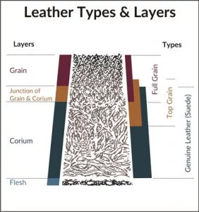 Aniline Leather And Top Grain, Top Grain Aniline Leather