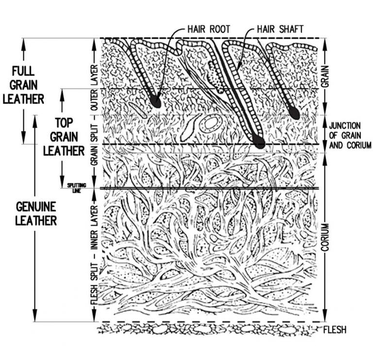 Difference between Aniline Leather and Top Grain Leather