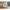 Eileen Gray Bibendum Chair | Eileen Gray Style